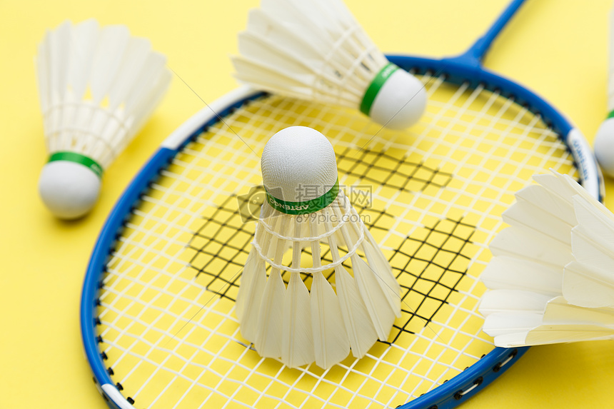 相信能与日 相信能与日