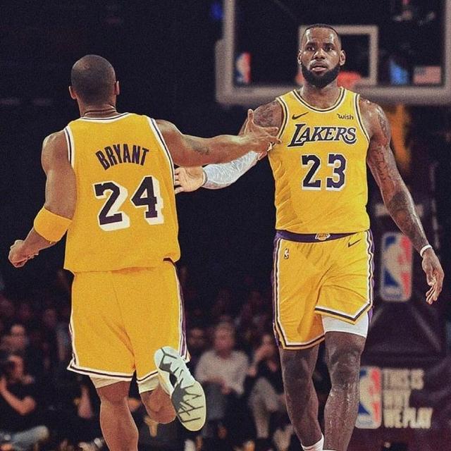 马术场地障 马术场地障